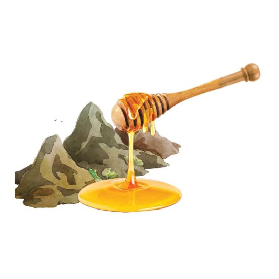 صورة عسل سدر جبلي حضرمي