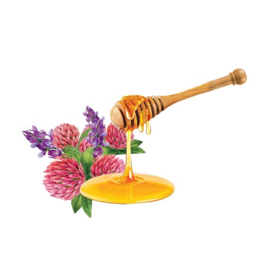 صورة عسل زهور البرسيم