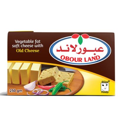 صورة عبور لاند جبنة نباتي بطعم الجبنة القديمة - 250 جرام